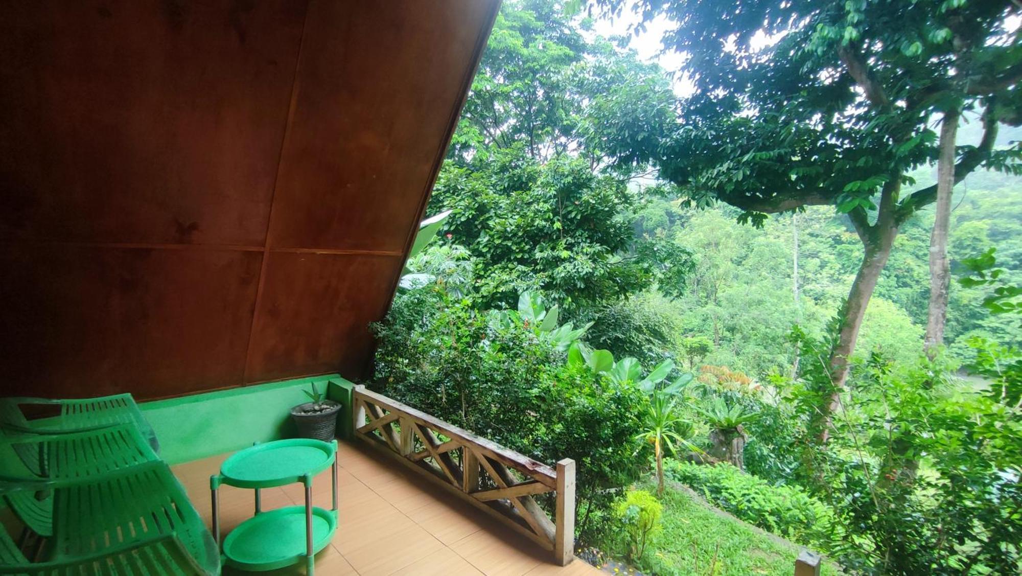 Green Forest Tangkahan Rom bilde