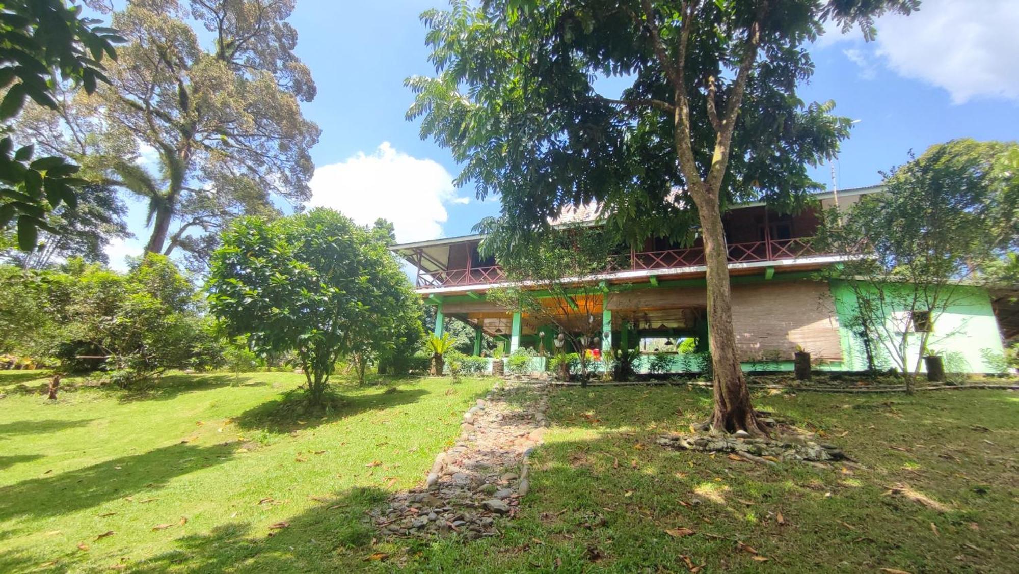 Green Forest Tangkahan Rom bilde