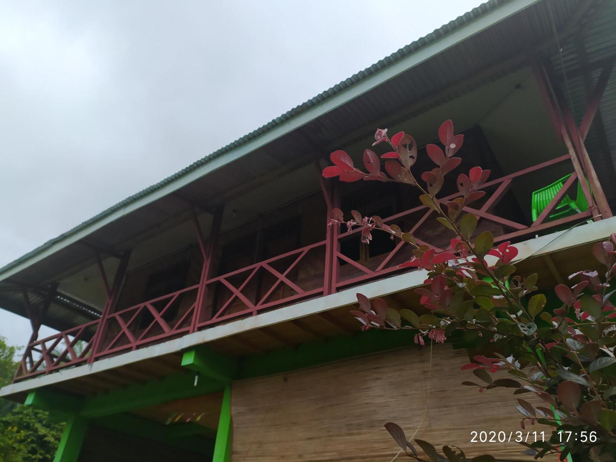 Green Forest Tangkahan Rom bilde